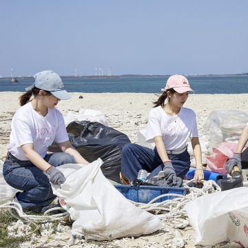寶雅攜手澎科大 守護瀕危燕鷗 五年海洋永續行動再進化 從肌膚到海洋都安心